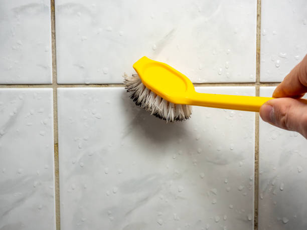  Alamo, CA Mold Removal Pros